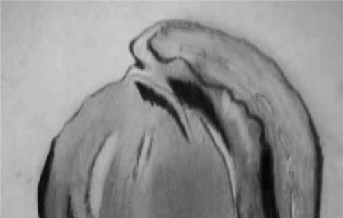 教師照片